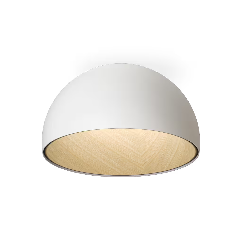Duo 4878 2700K Ceiling Light
