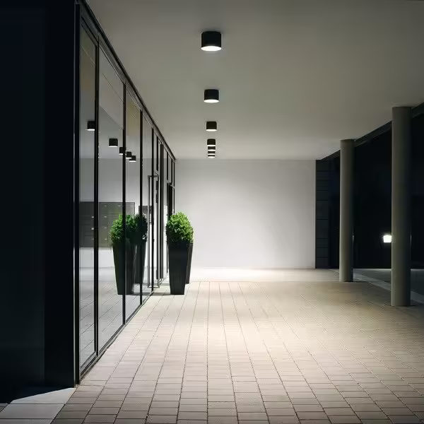 66974 LED Ceiling Surface Downlight in Graphite