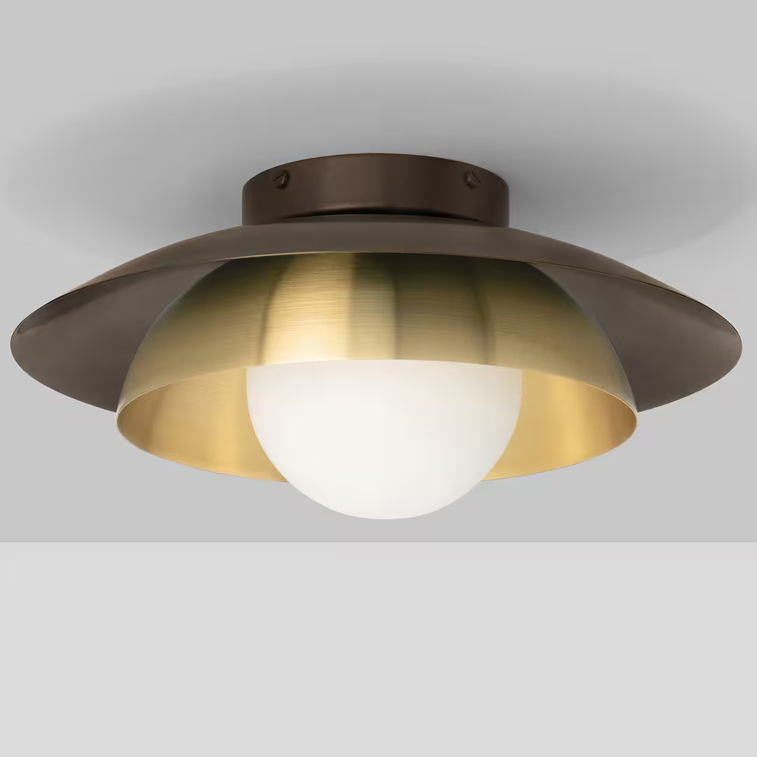 Carapace Ceiling/Wall Light
