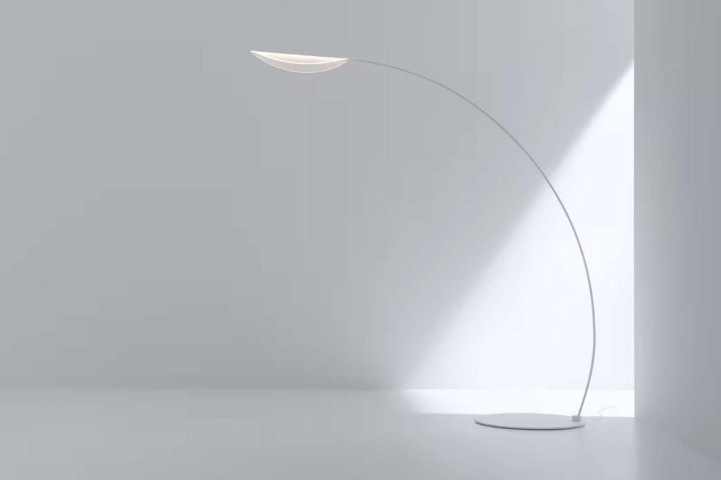 Diphy Floor Lamp