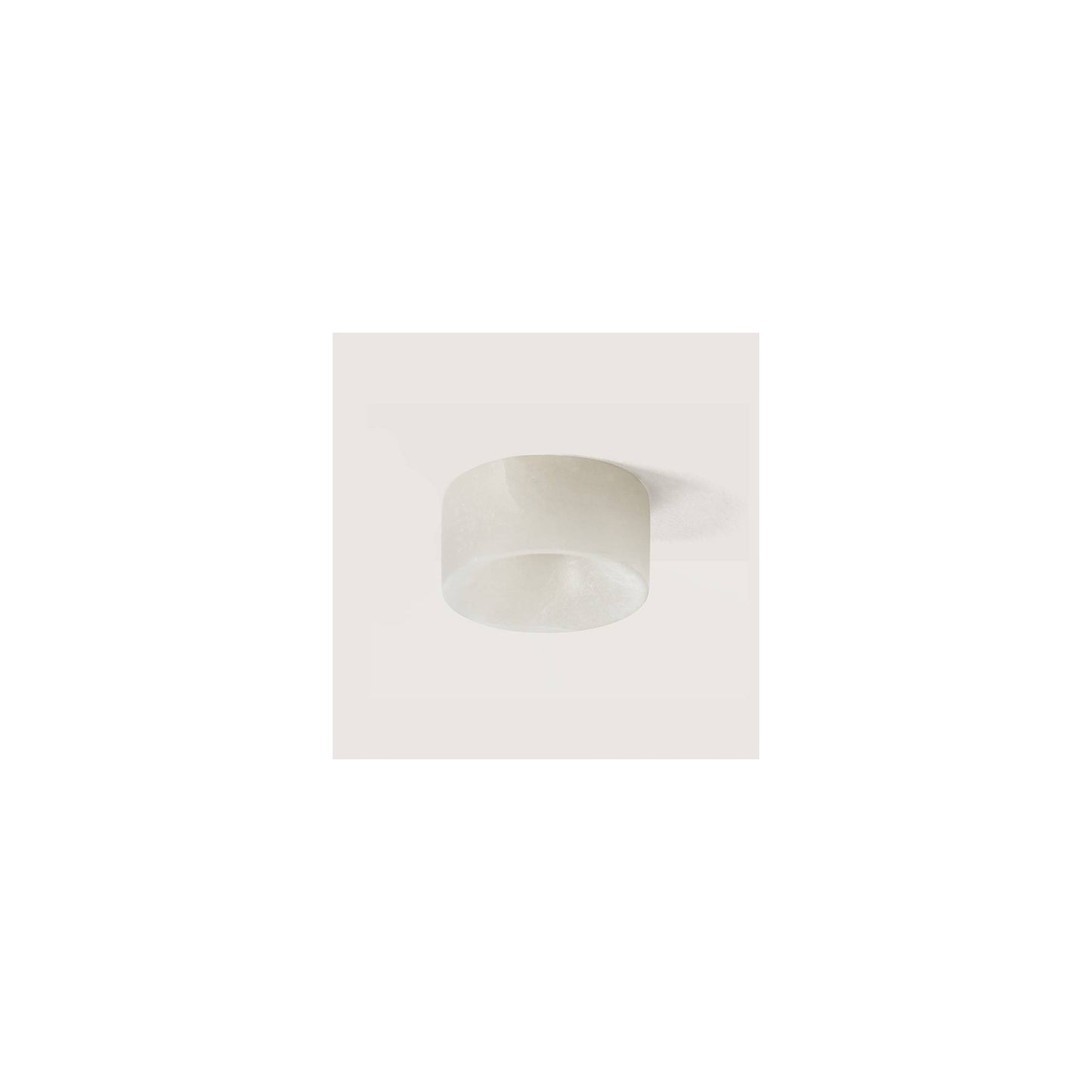 Focus Ceiling Downlight