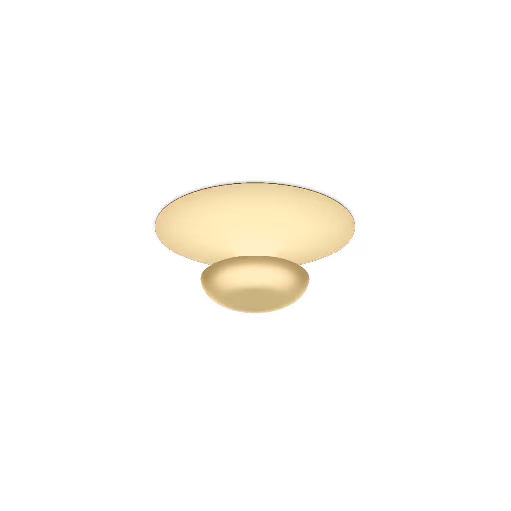 Funnel LED Ceiling or Wall Light