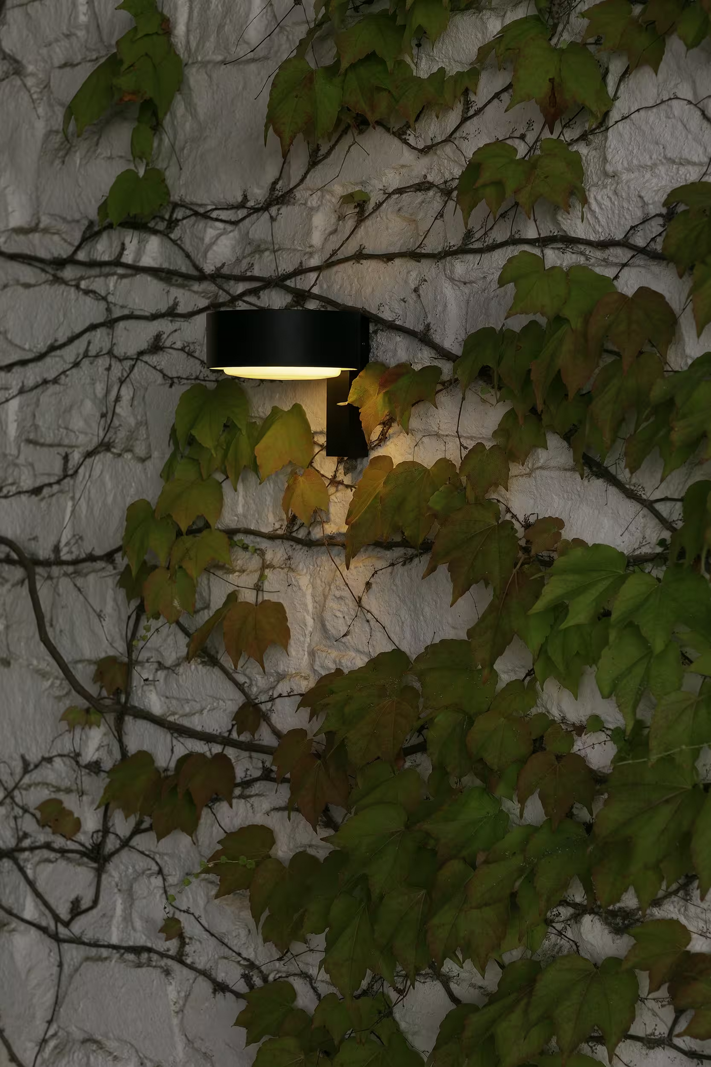 Plaff-on! A Outdoor Wall Light IP65