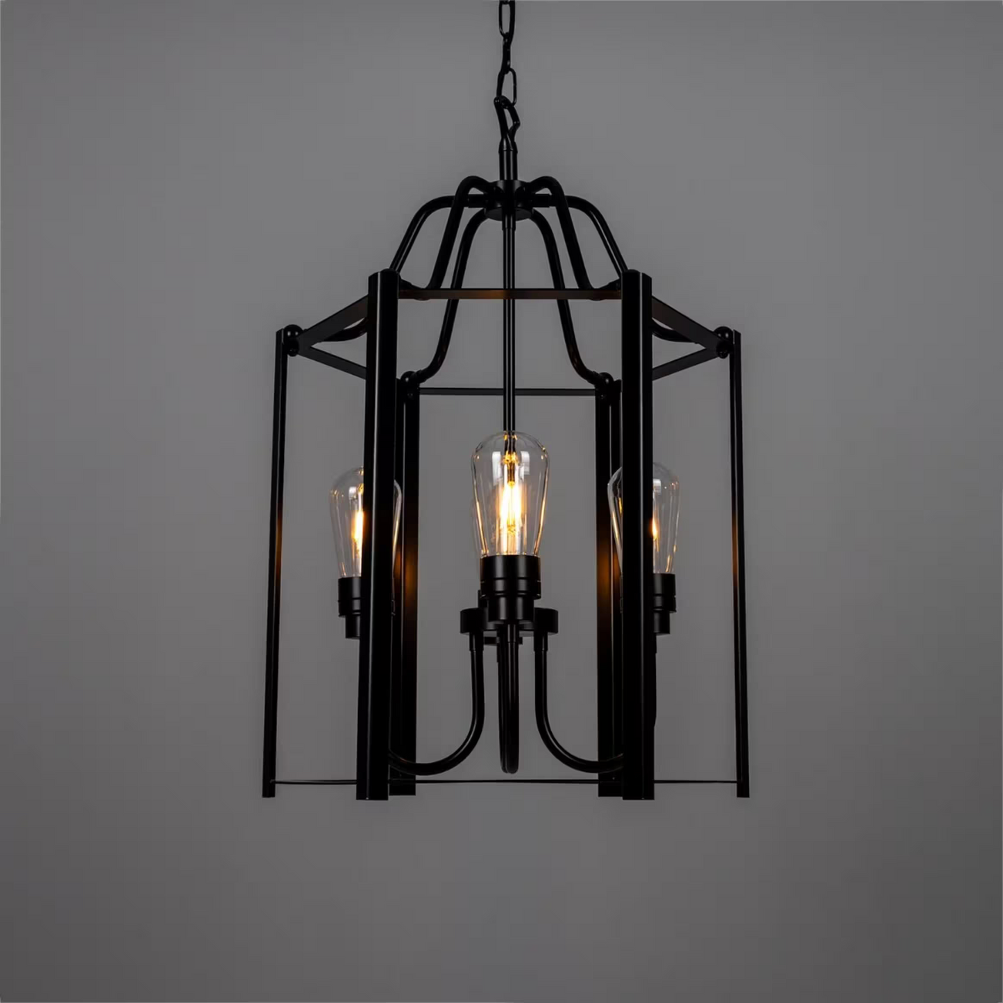 Portroe 4-Light Outdoor Hanging Lantern
