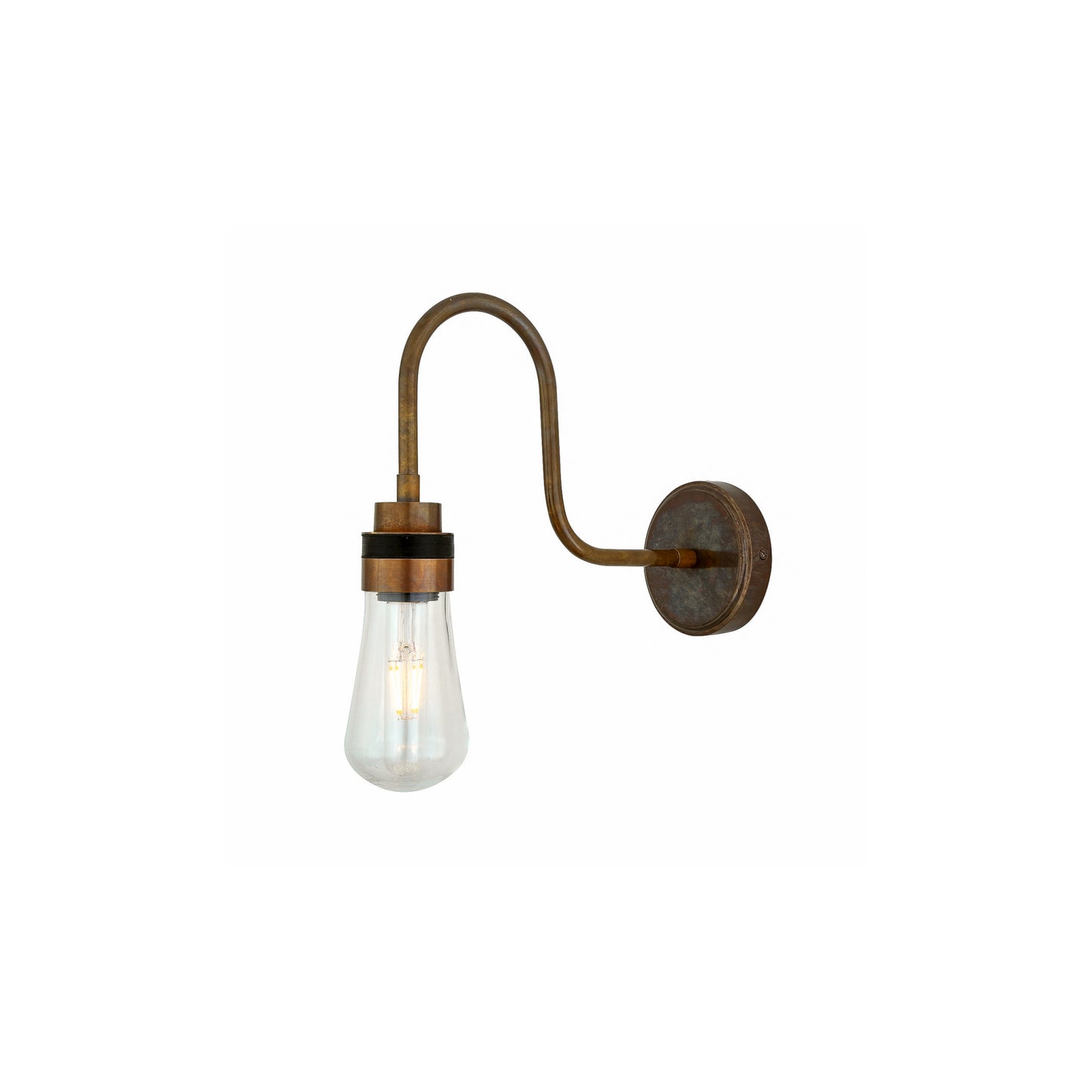 Bo Swan Neck Wall Light IP65