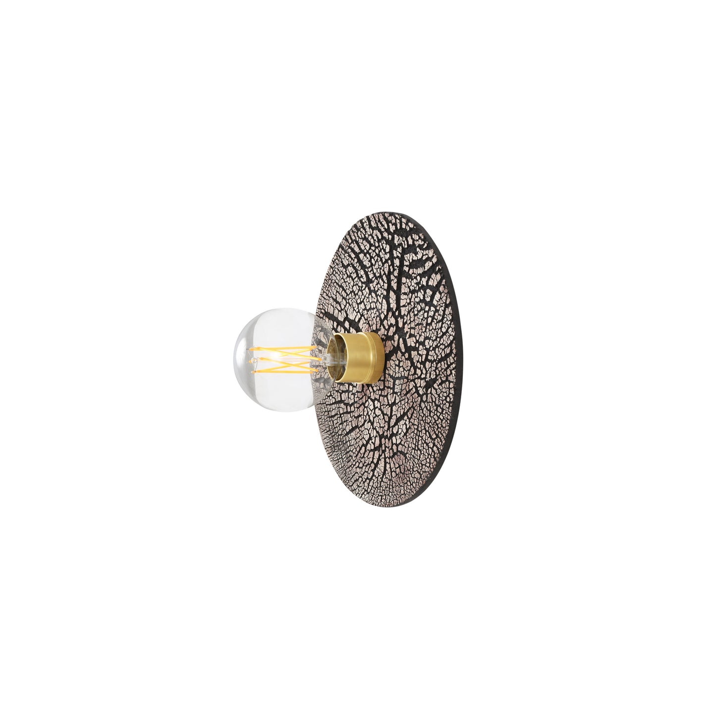 Bog Oak Organic Ceramic Disc Wall Light