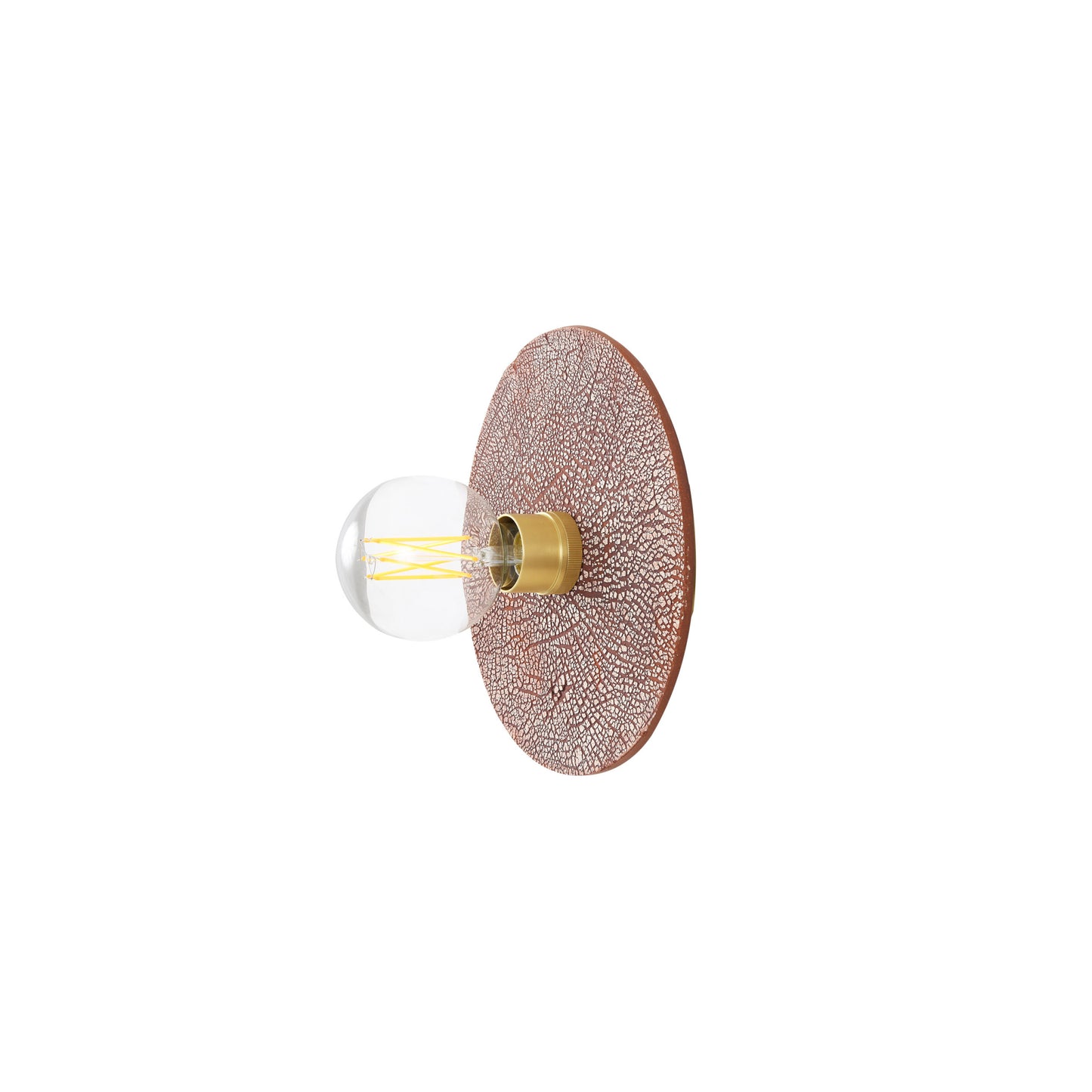 Bog Oak Organic Ceramic Disc Wall Light