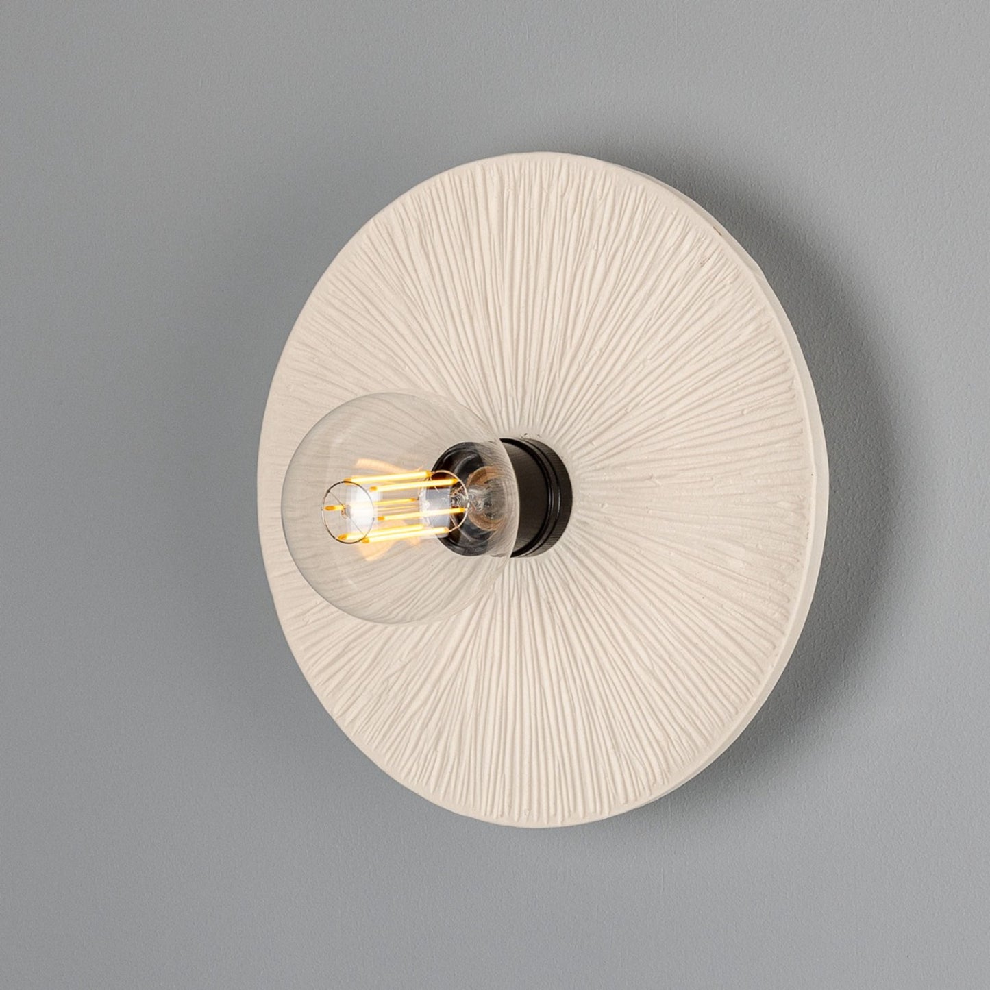 Bog Oak Organic Ceramic Disc Wall Light