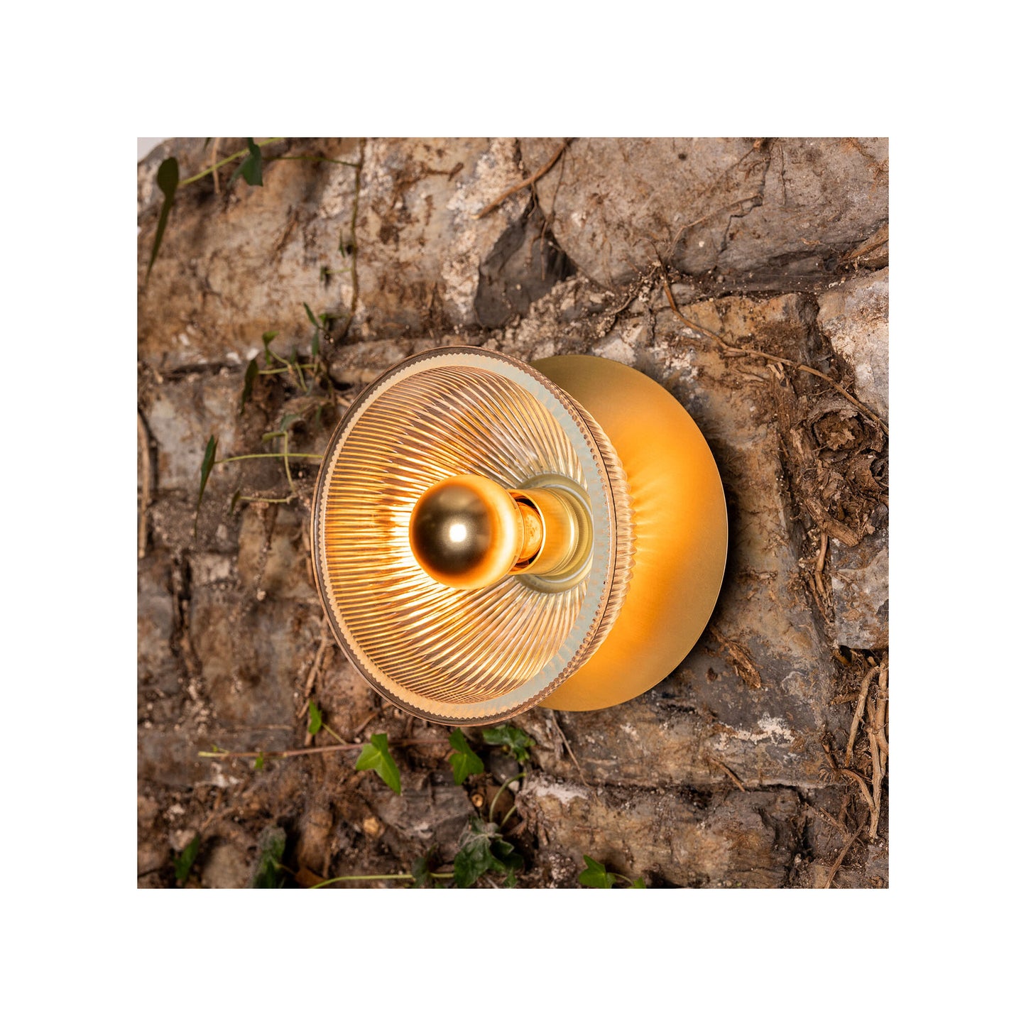 Eclipse Brass and Holophane Glass Dish Wall Light
