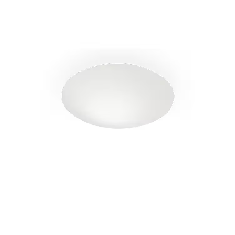 Puck Wall or Ceiling Light