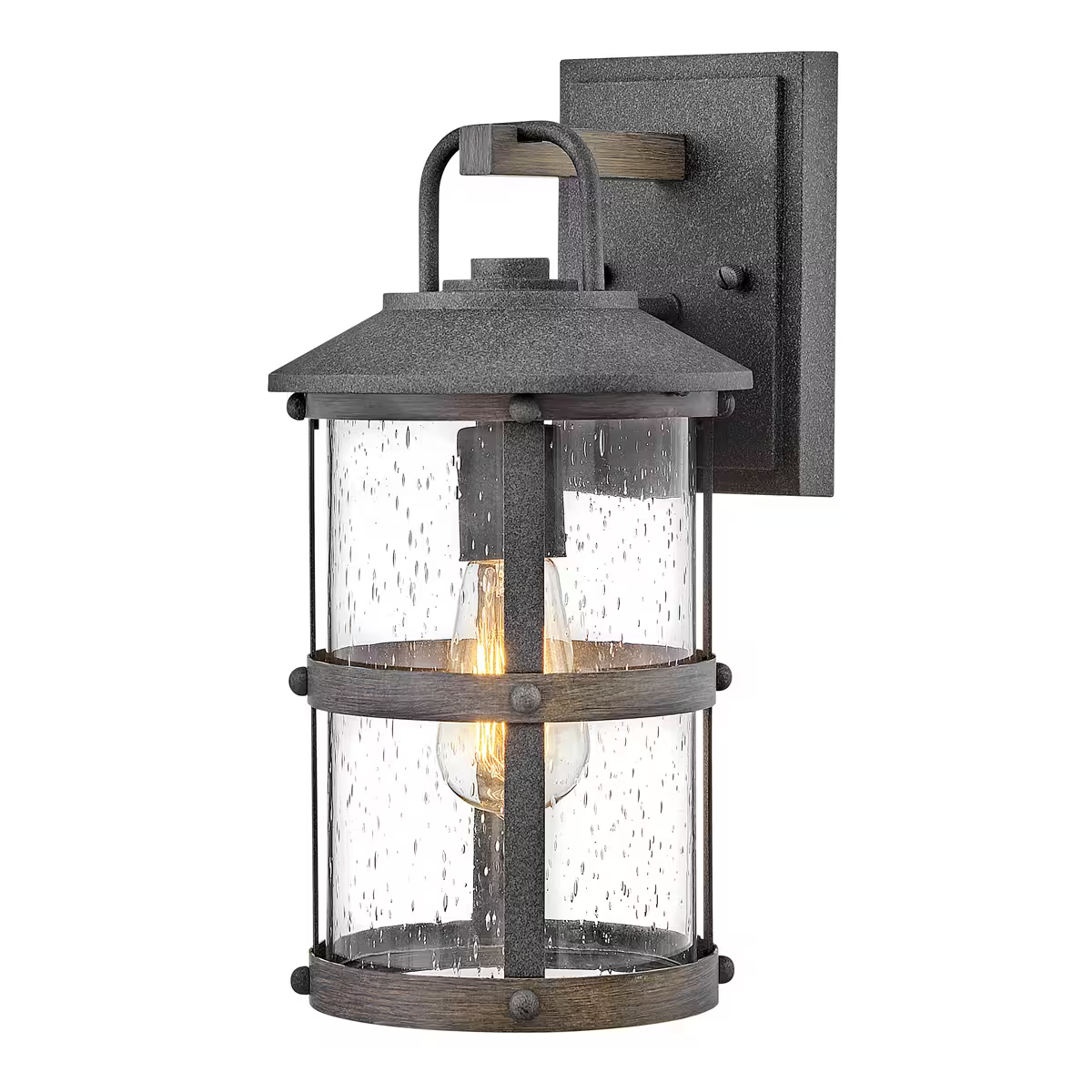 Lakehouse 1-Light Wall Lantern