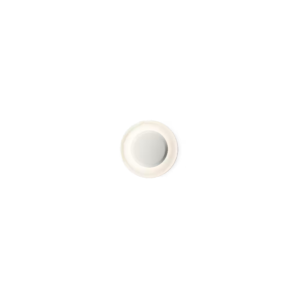 Top 1154 Ceiling/Wall Light