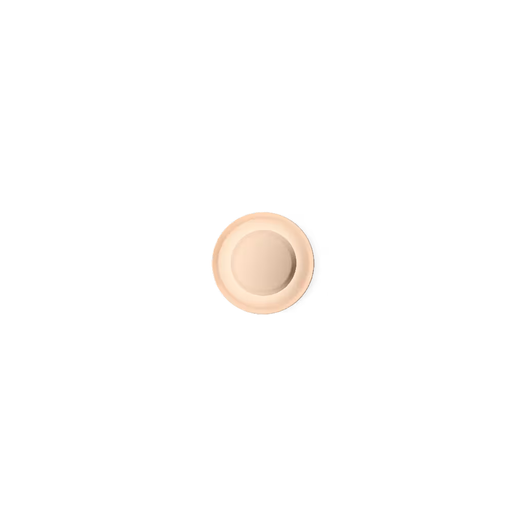 Top 1154 Ceiling/Wall Light