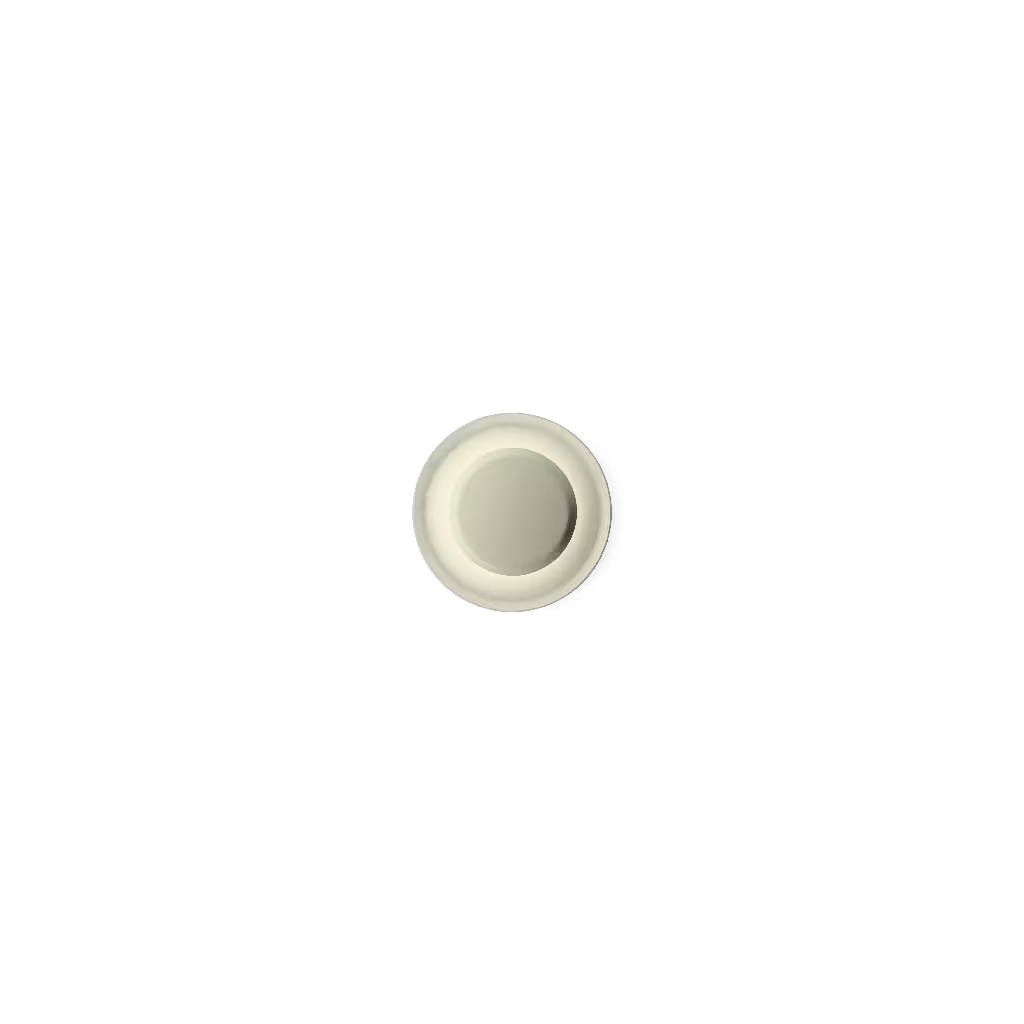 Top 1154 Ceiling/Wall Light