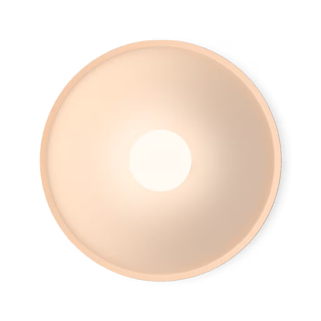 Top 1170 Ceiling/Wall Light DALI 1-10V Push