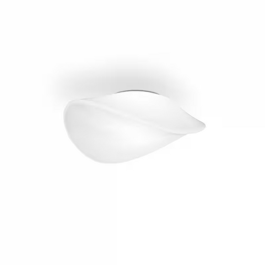Balance PP 24 Ceiling/Wall Light