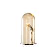 EBB & FLOW Speak Up! 18cm Table Lamp Brass Base with Mouthblown Glass in Golden smoke