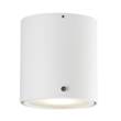 Nordlux Ip S4 LED Wall or Ceiling Light in White