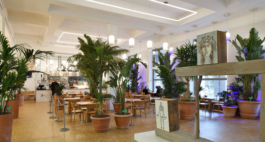 Smart Lighting Systems: How Technology is Changing Design