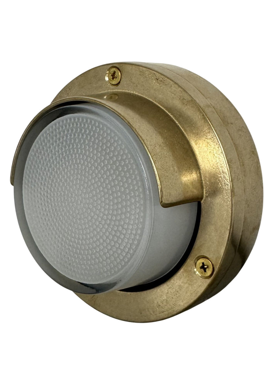 Navigator Eyelid Outdoor Wall Light