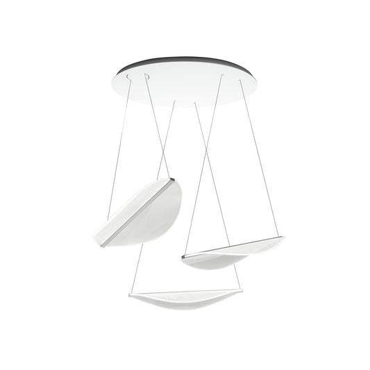 Diphy 3 Source LED Pendant in White