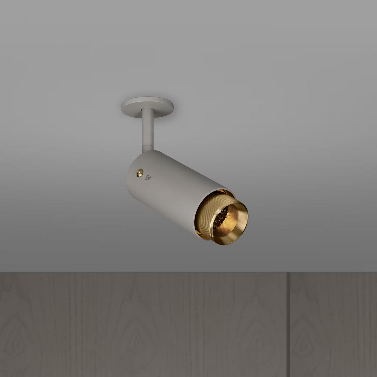 Exhaust Ceiling Spotlight