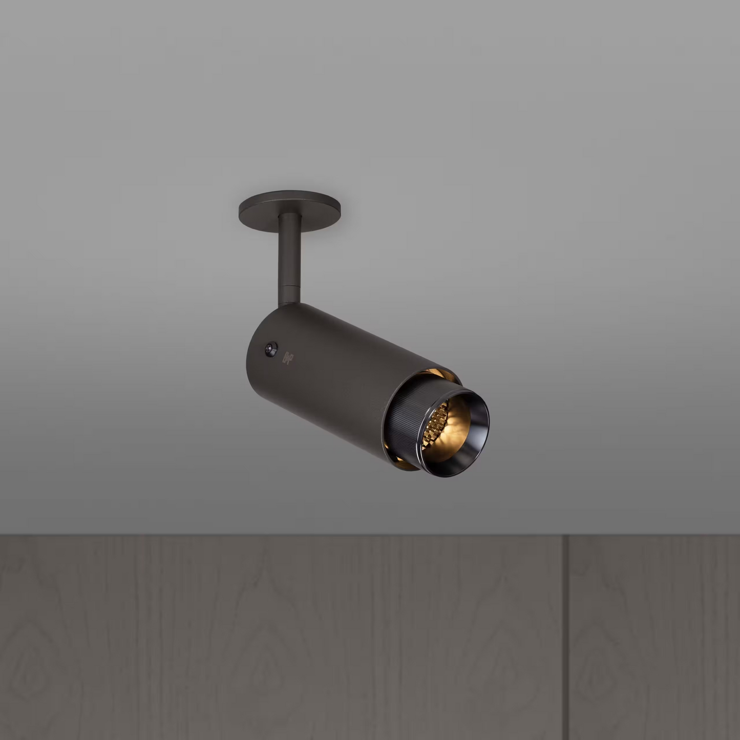 Exhaust Ceiling Spotlight