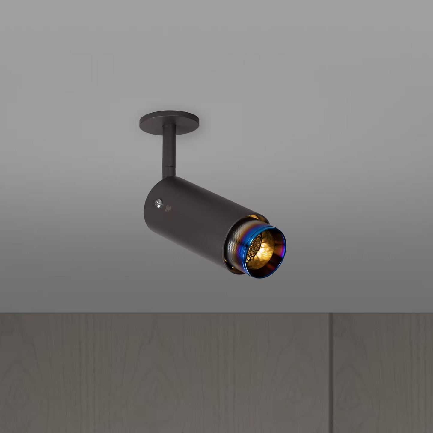 Exhaust Ceiling Spotlight