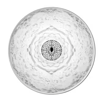 Skygarden Recessed Ceiling Light White