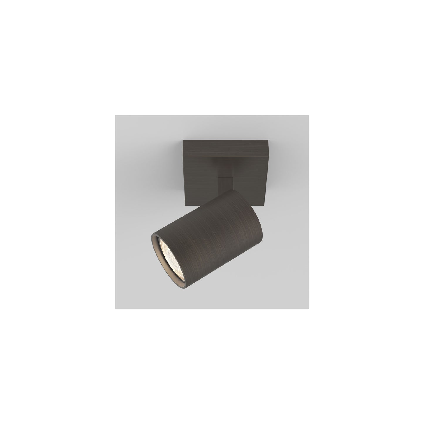 Ascoli Single Wall or Ceiling Spotlight