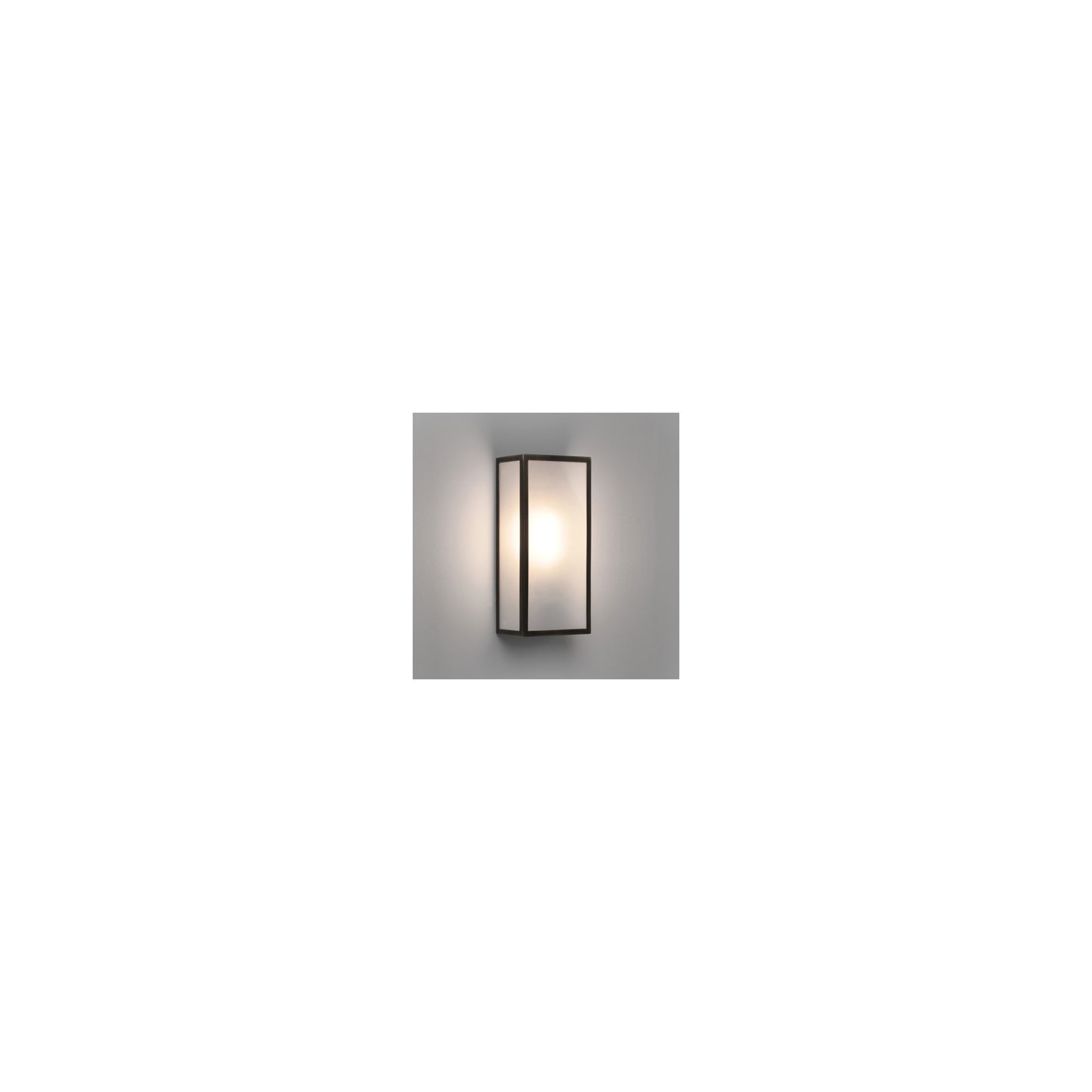 Messina Exterior Wall Light with Frosted Glass