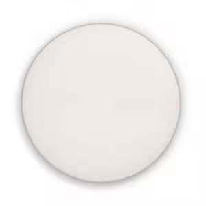 LED Ceiling and Wall Light