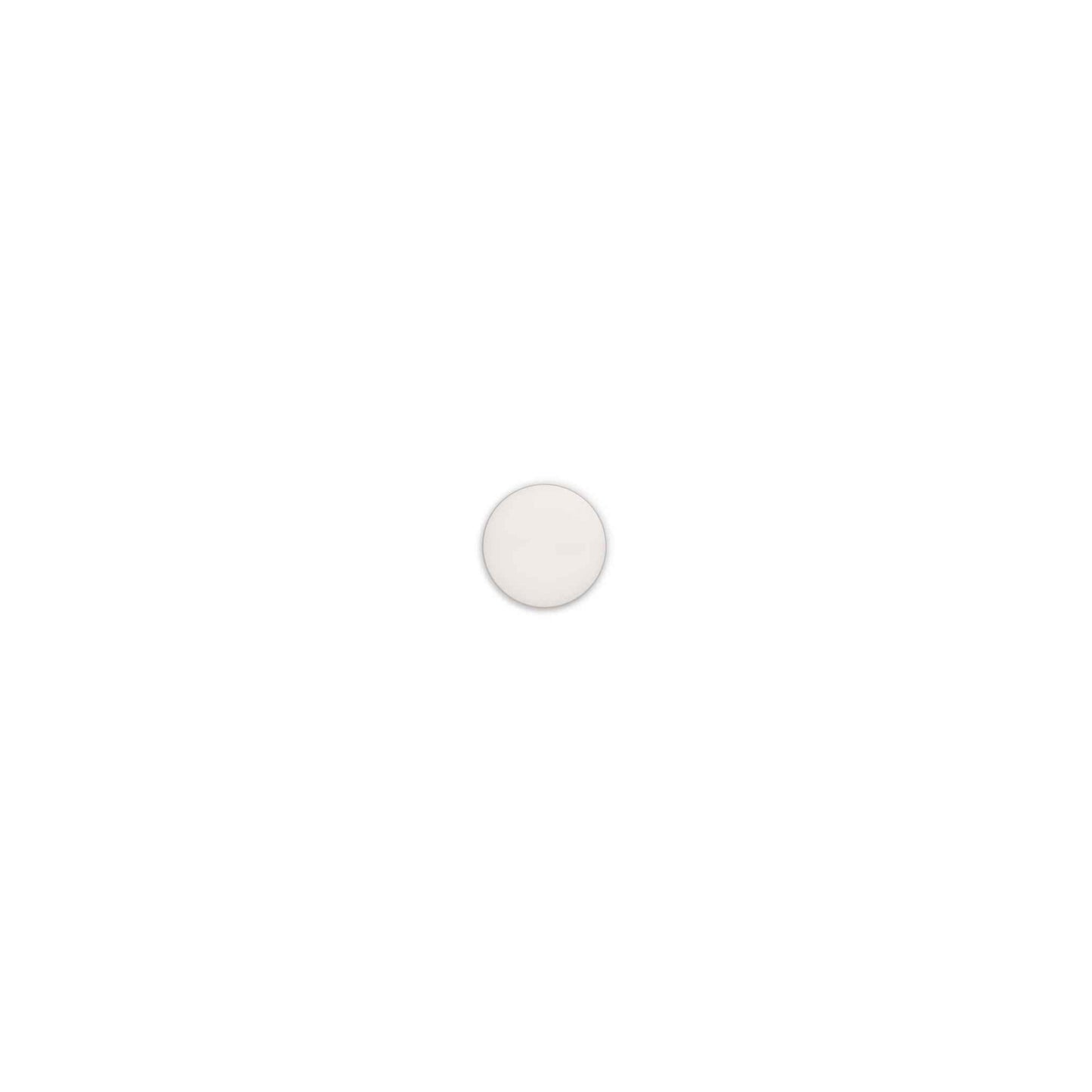 LED Ceiling and Wall Light