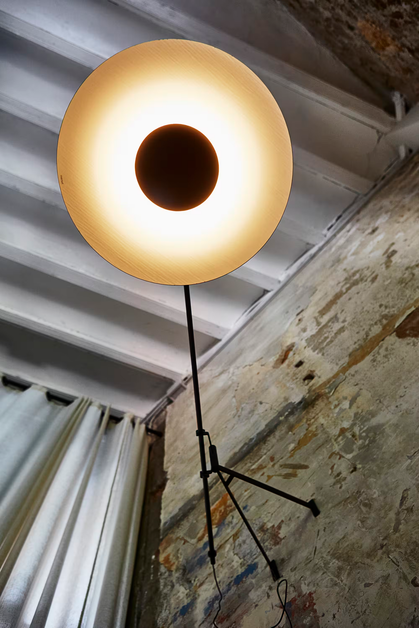 Ginger A XL 42 Plug-in Extra-Large LED Wall Light