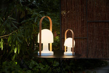 FollowMe Plus LED Portable Light
