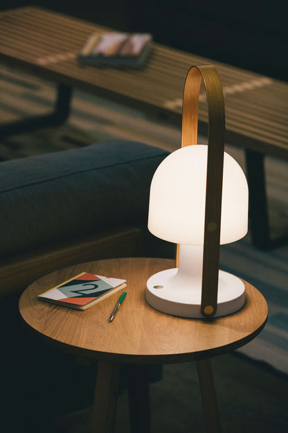 FollowMe Plus LED Portable Light