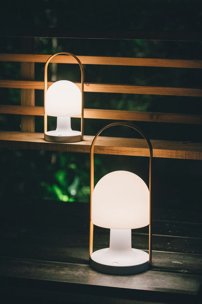 FollowMe Plus LED Portable Light