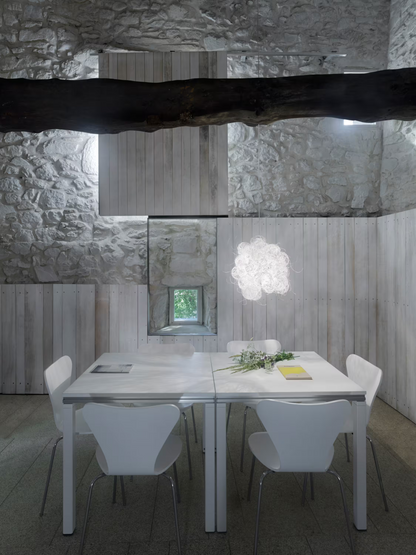 A-Emotional Light Blum Pendant