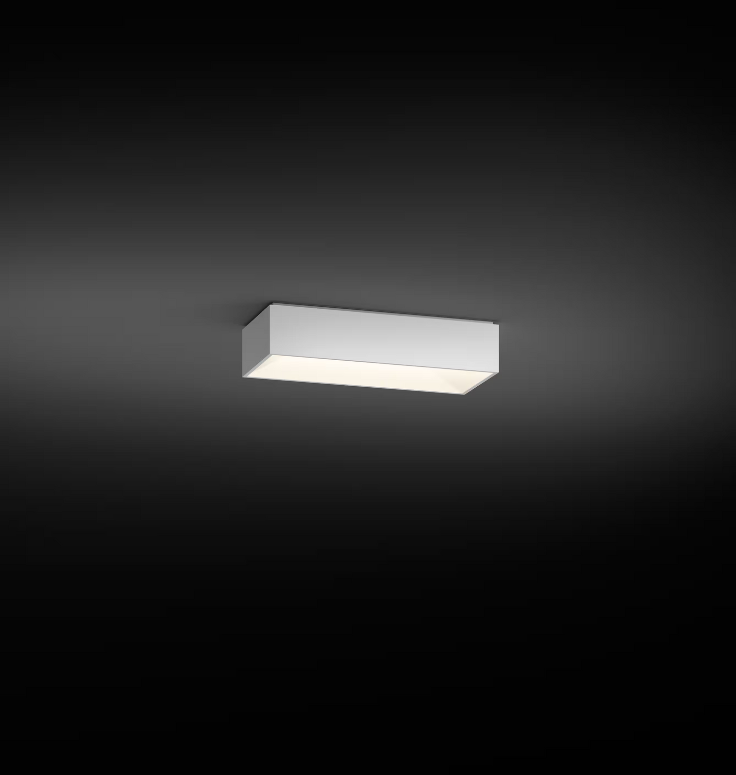 Link Large Single Ceiling Surface