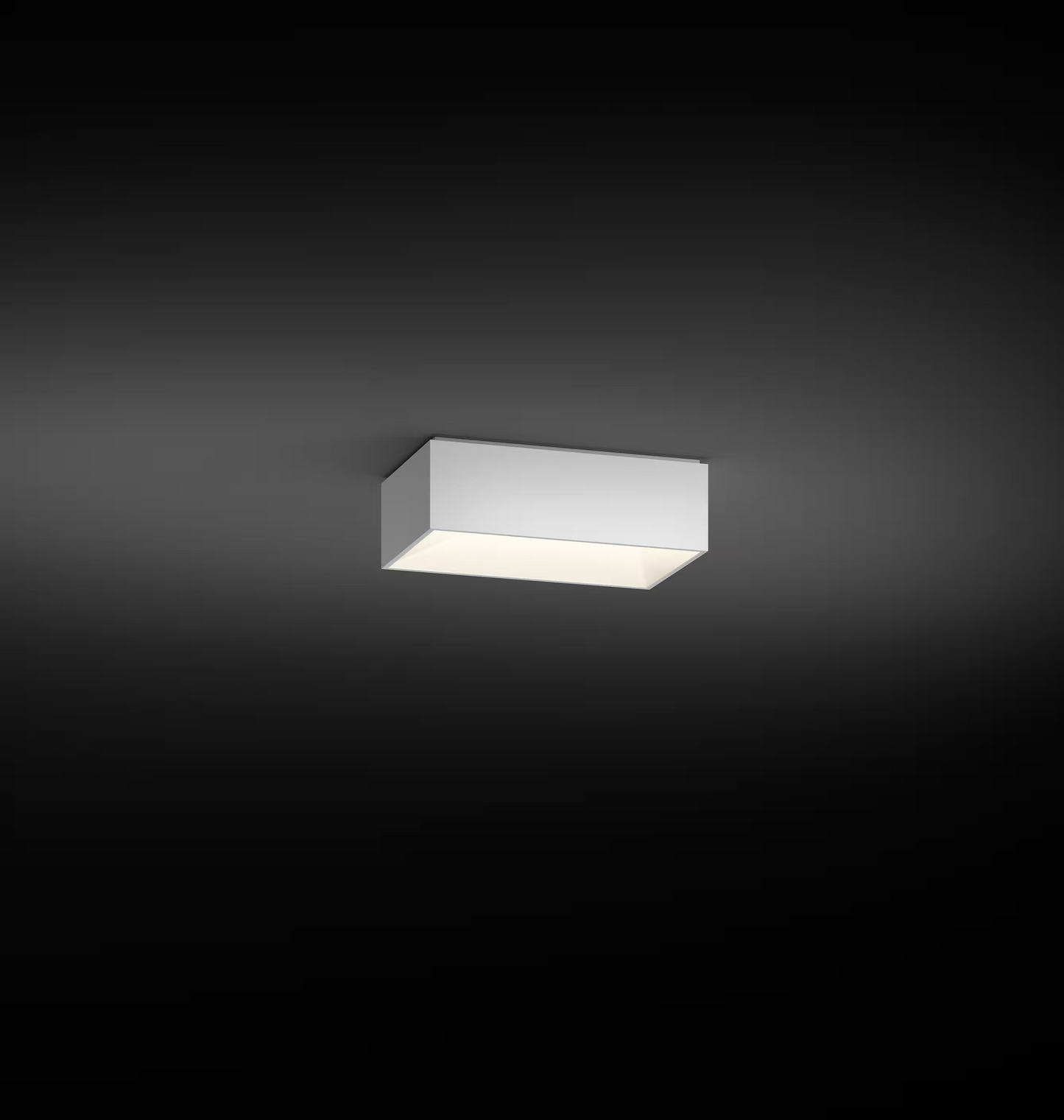 Link Medium Single Ceiling Surface