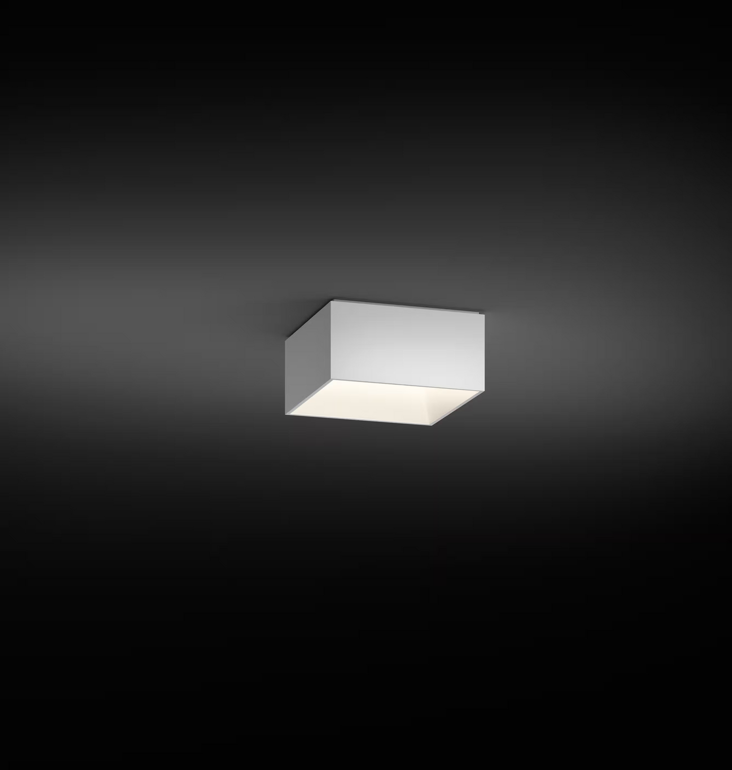 Link Small Single Ceiling Surface