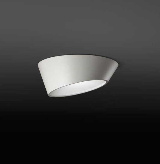Plus Small Asymmetrical White Ceiling Surface