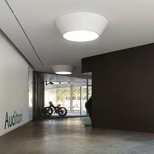 Plus Large Symmetrical White Ceiling Surface