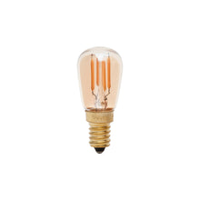 Tala Classic Pygmy Bulb