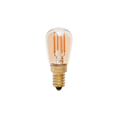 Tala Classic Pygmy Bulb