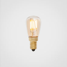 Tala Classic Pygmy Bulb
