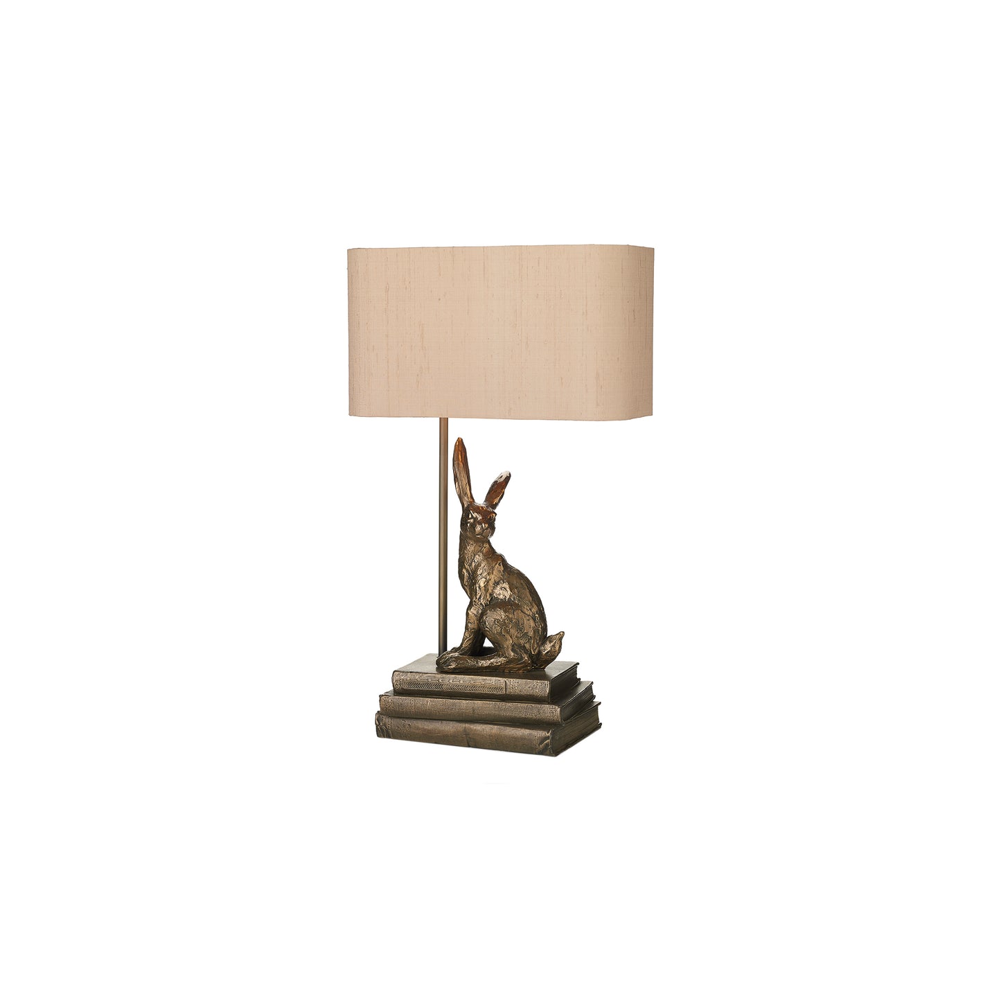 Hopper Table Lamp in Bronze Resin