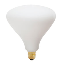 Tala Noma Globe Bulb