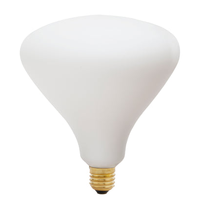 Tala Noma Globe Bulb