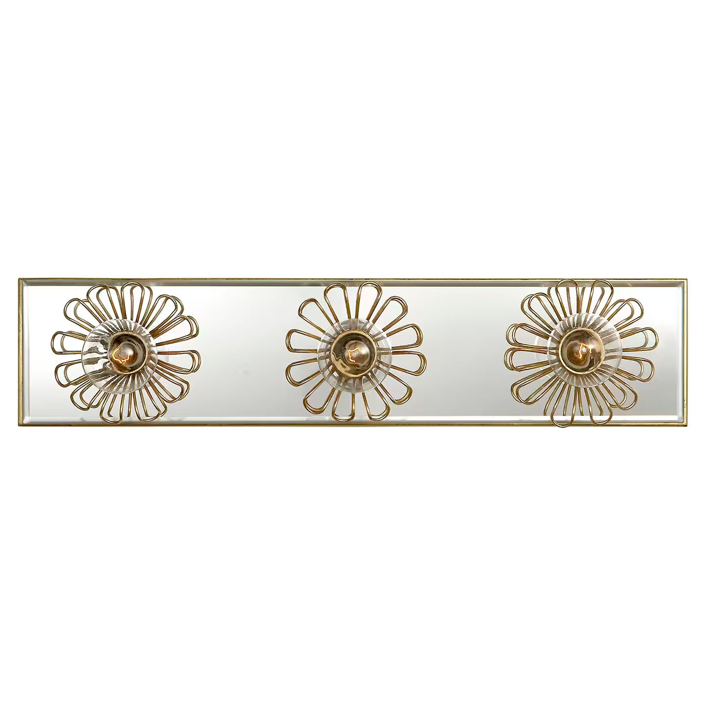 Keaton 18" Floral Vanity Light